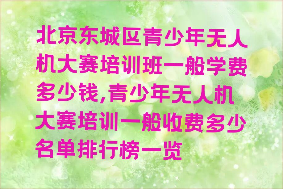 北京东城区朝阳门街道青少年无人机大赛培训学校