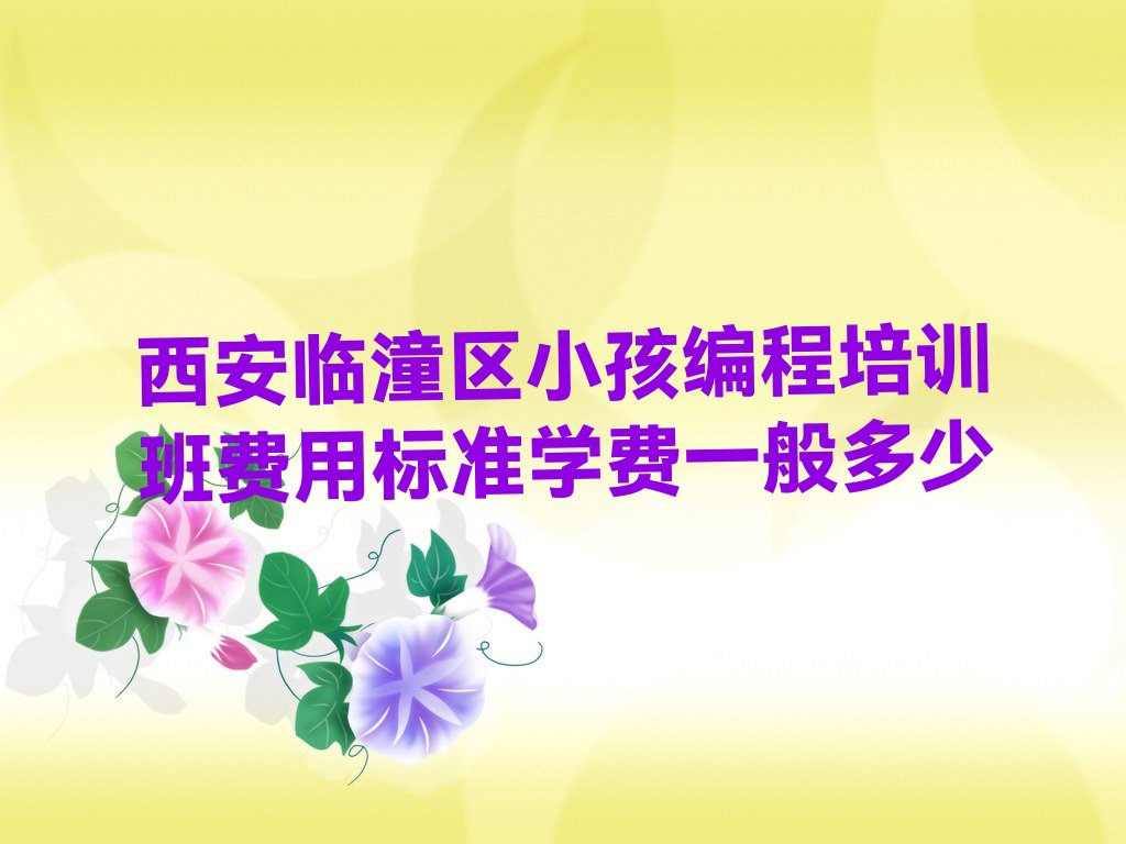 小孩编程