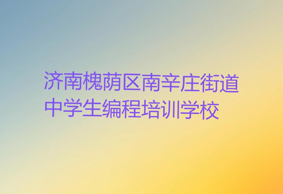 济南槐荫区南辛庄街道中学生编程培训学校