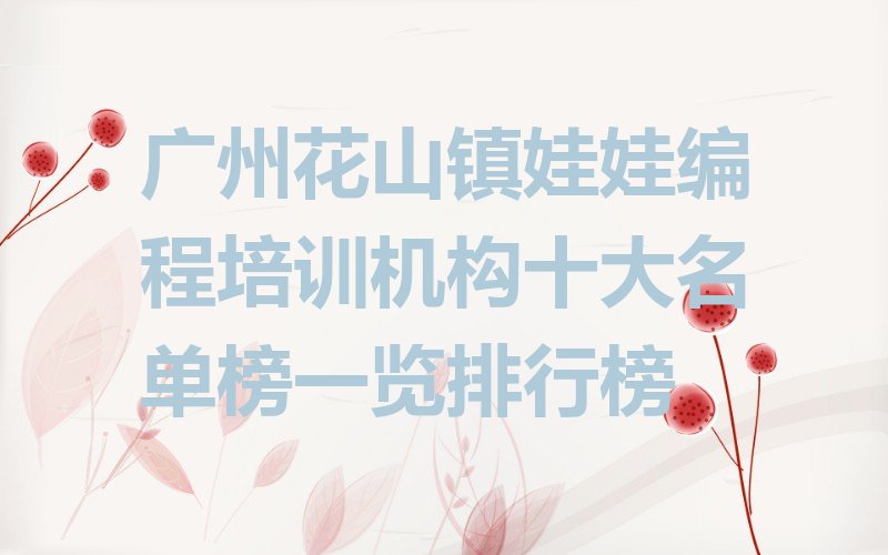 广州花都区娃娃编程培训学校