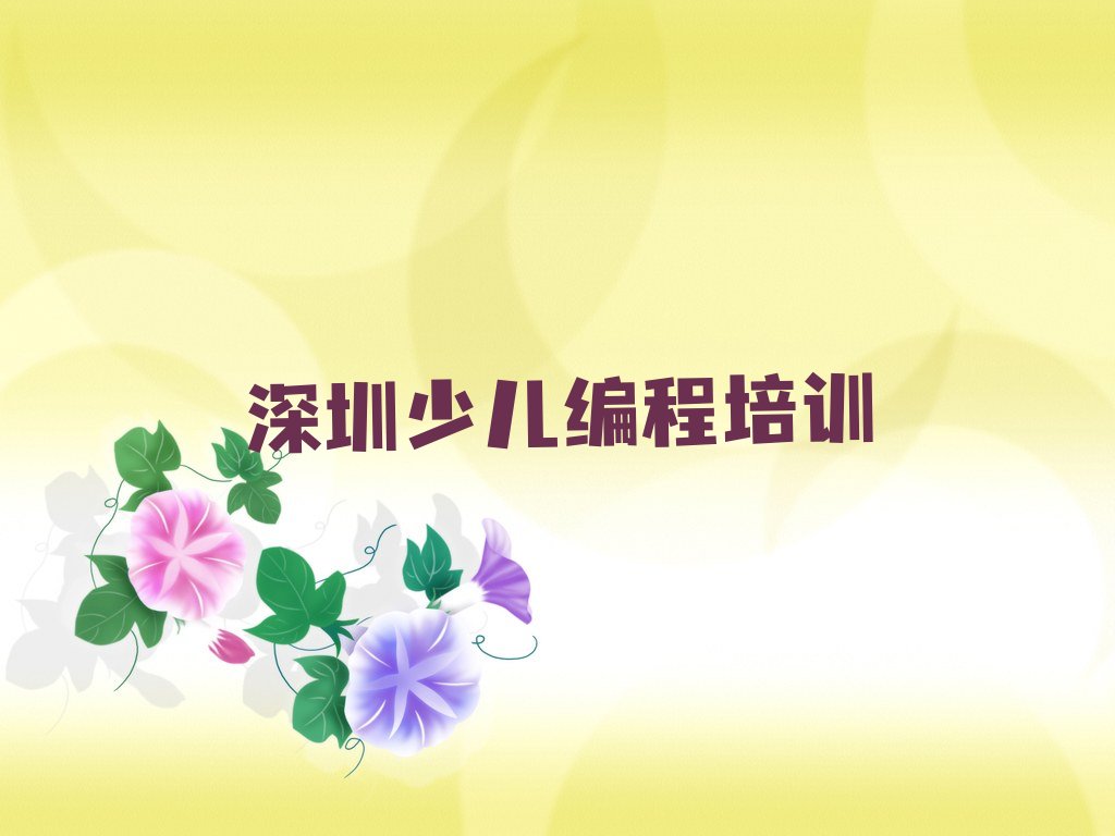 十大深圳宝安区NOIP信息学奥赛哪个学校培训排行榜