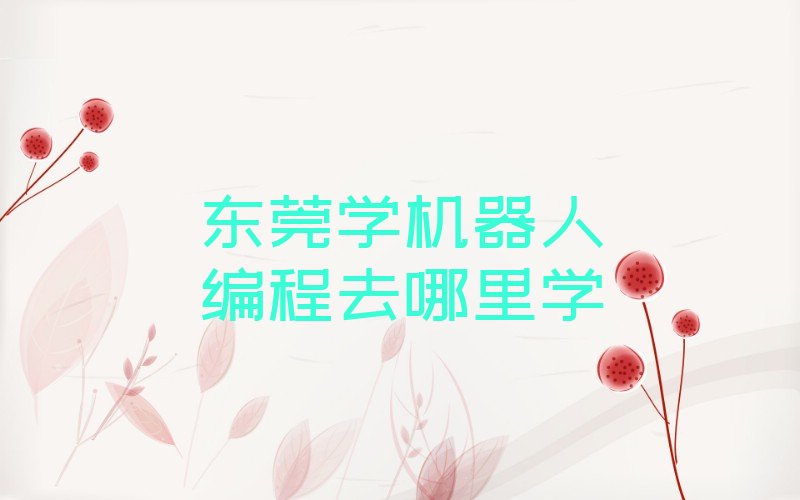 东莞少儿编程培训班