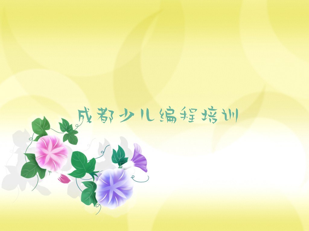 成都温江区少儿编程培训班