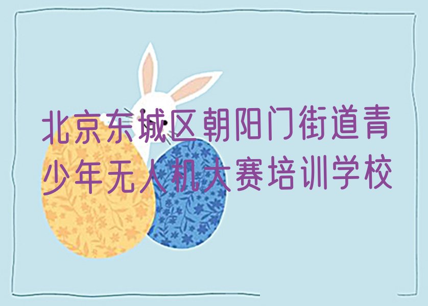 北京东城区朝阳门街道青少年无人机大赛培训学校