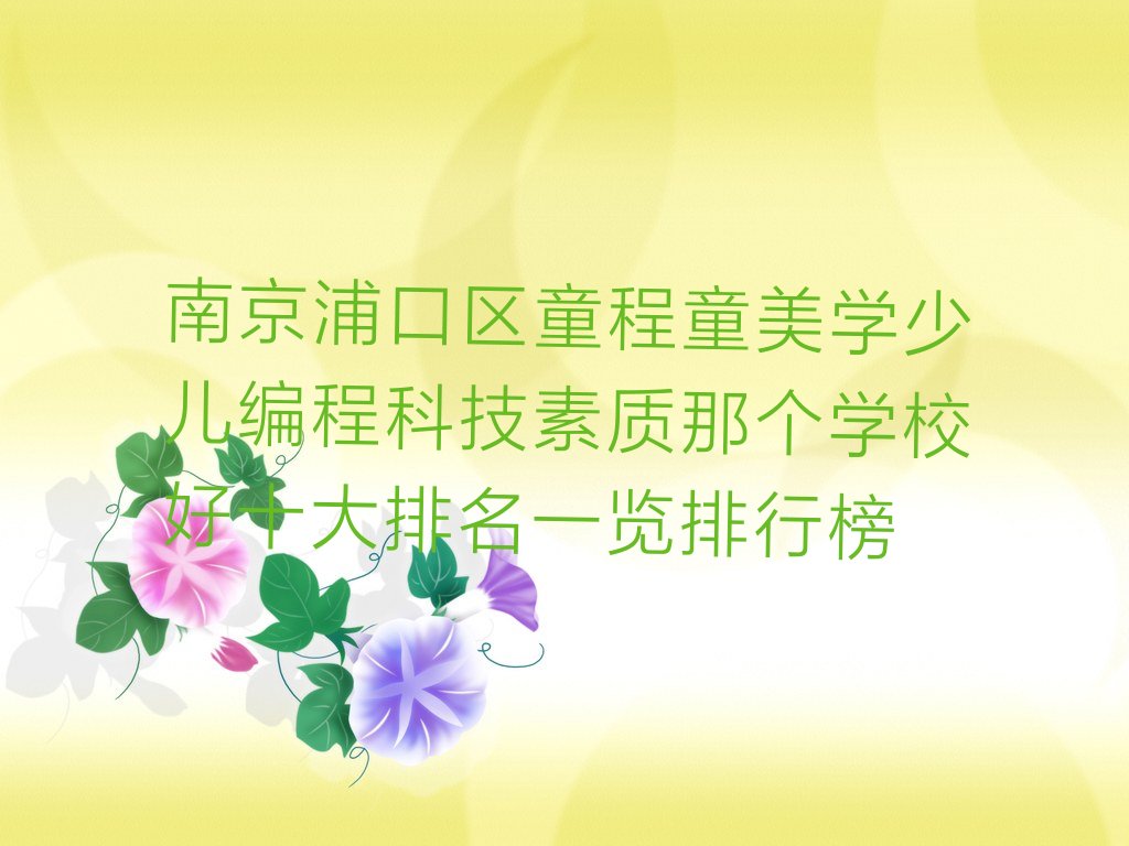少儿编程科技素质