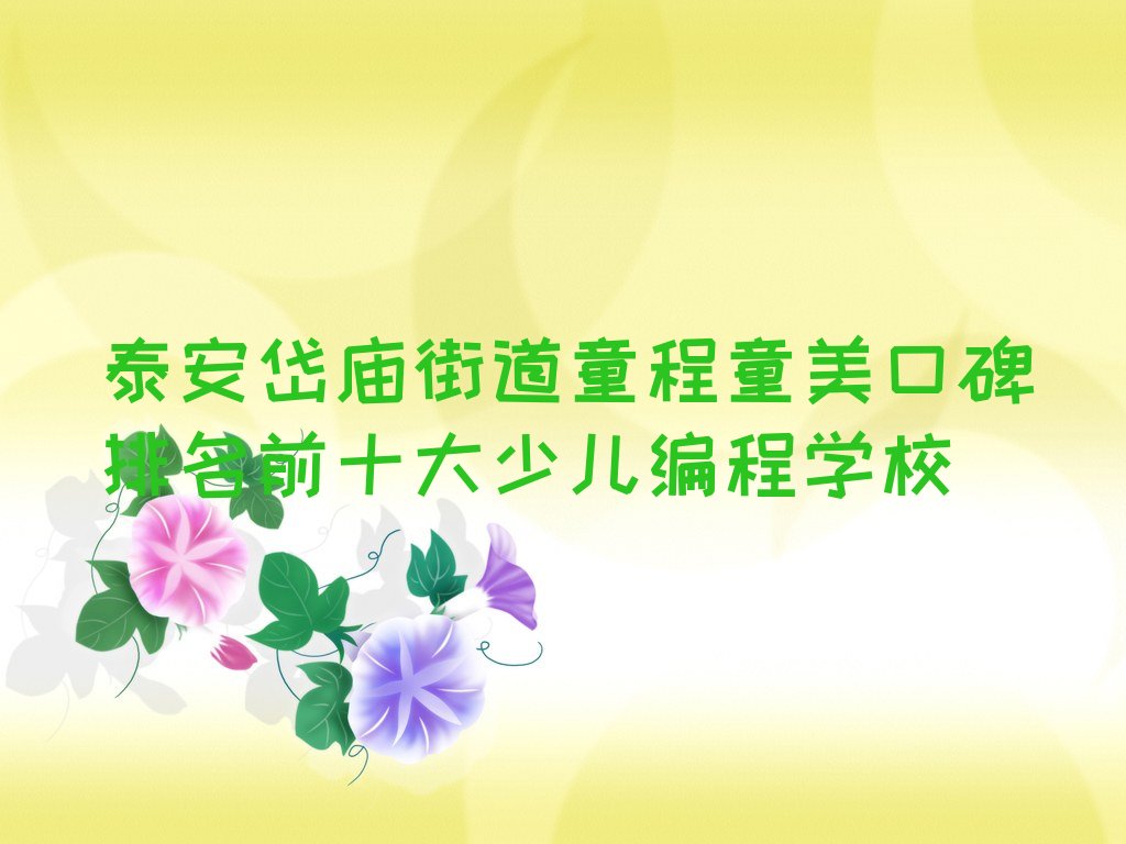 泰安泰山区少儿编程培训学校