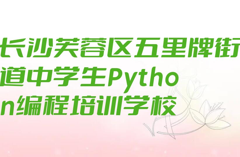 中学生Python编程