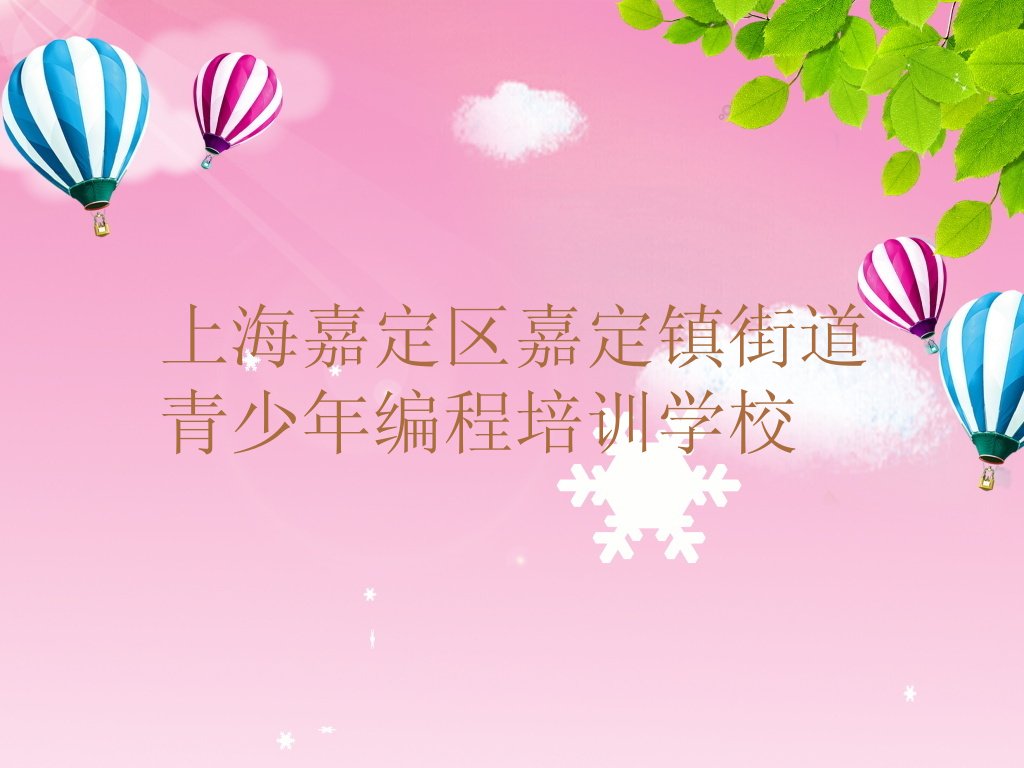 上海嘉定区嘉定镇街道青少年编程培训学校