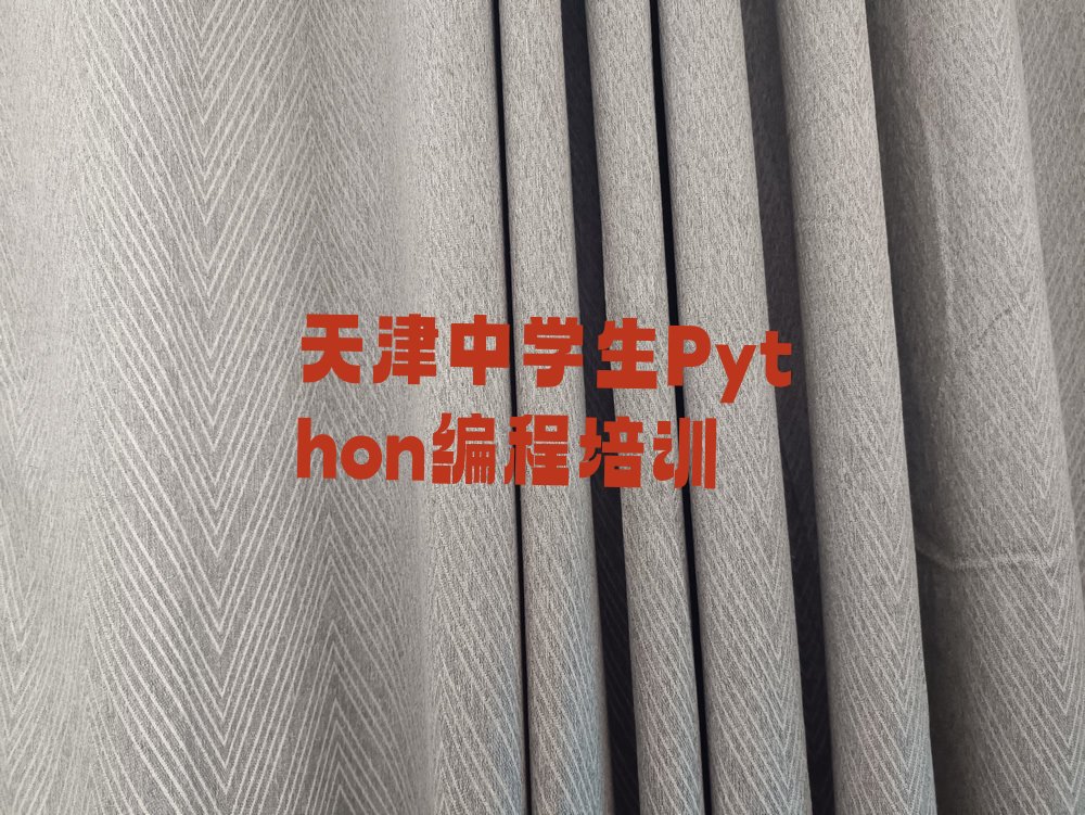 天津宁河区天津未来科技城宁河片区潘庄工业区组团中学生Python编程培训学校