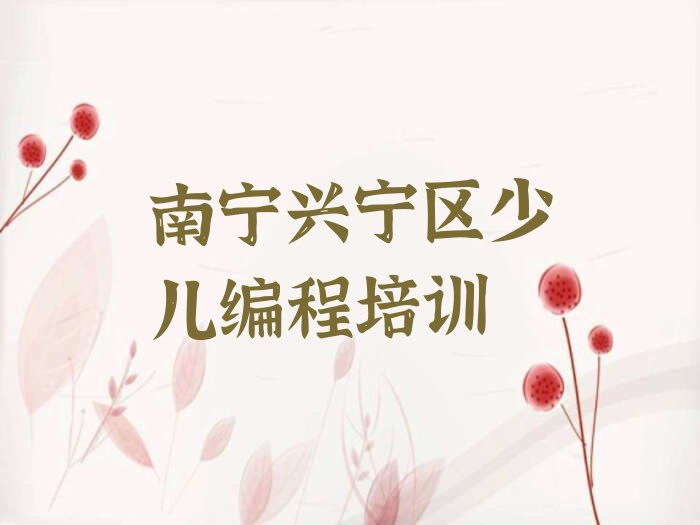 南宁兴宁区少儿编程培训