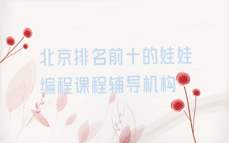 十大北京排名前十的娃娃编程课程辅导机构排行榜