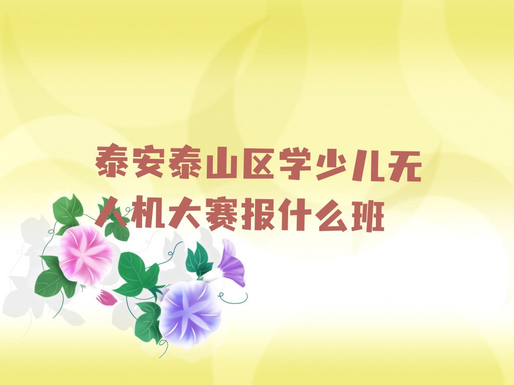 泰安少儿编程培训班