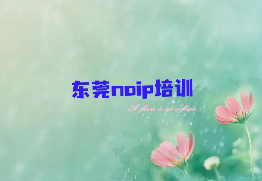noip