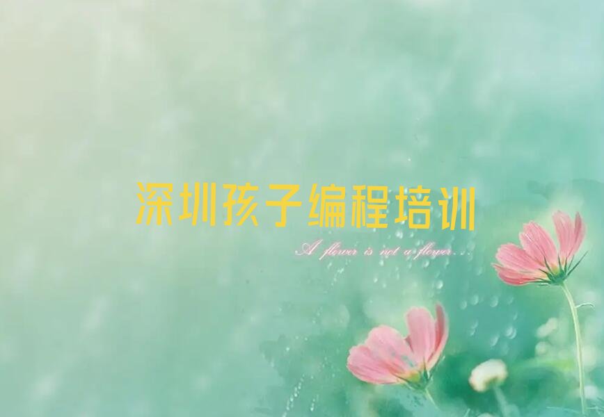 深圳光明区少儿编程培训中心