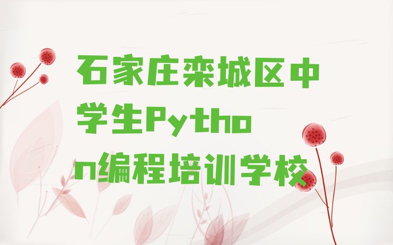 石家庄栾城区中学生Python编程培训学校