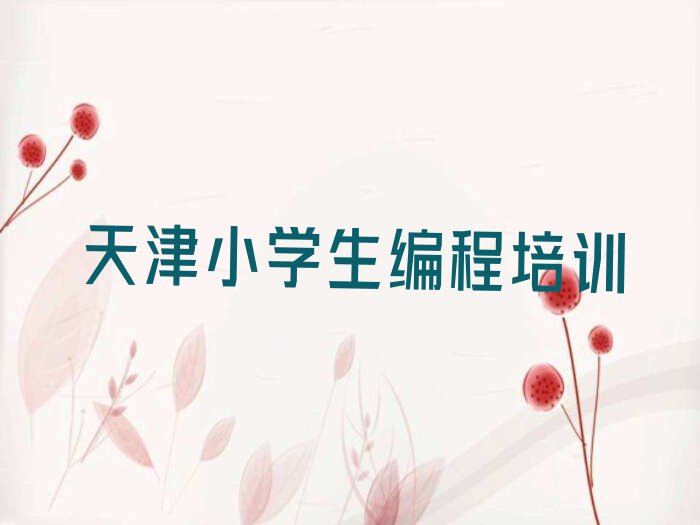 天津武清区小学生编程培训学校