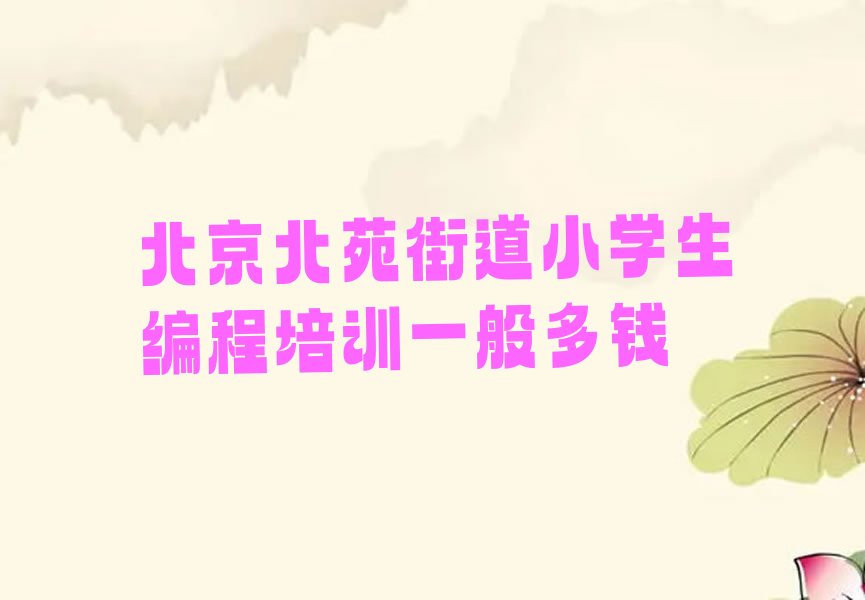 北京通州区北苑街道小学生编程培训学校