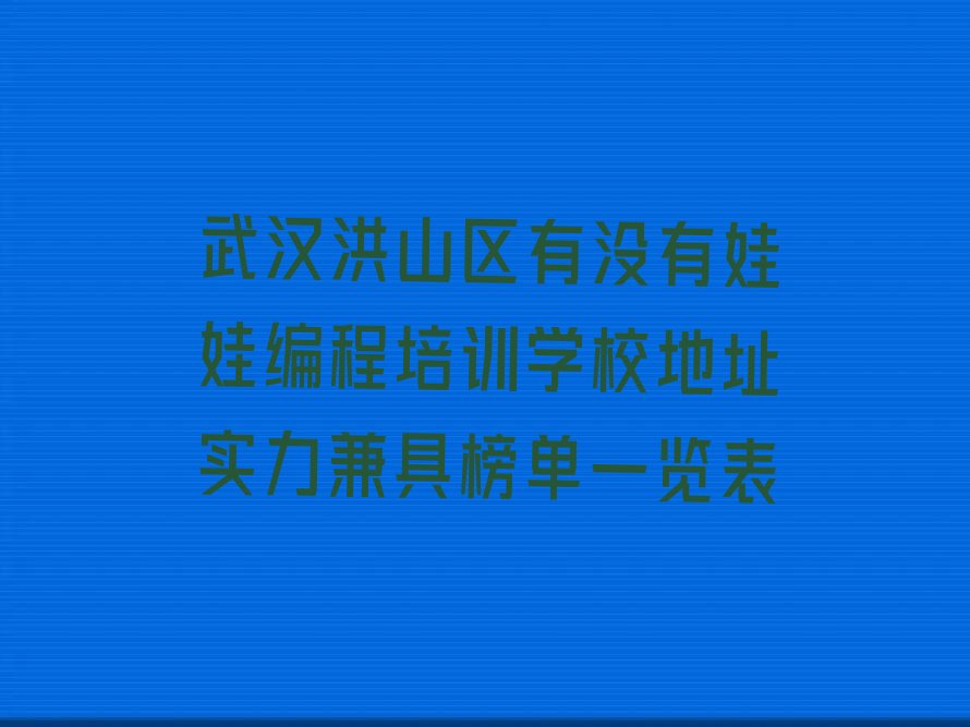 武汉洪山区娃娃编程培训学校