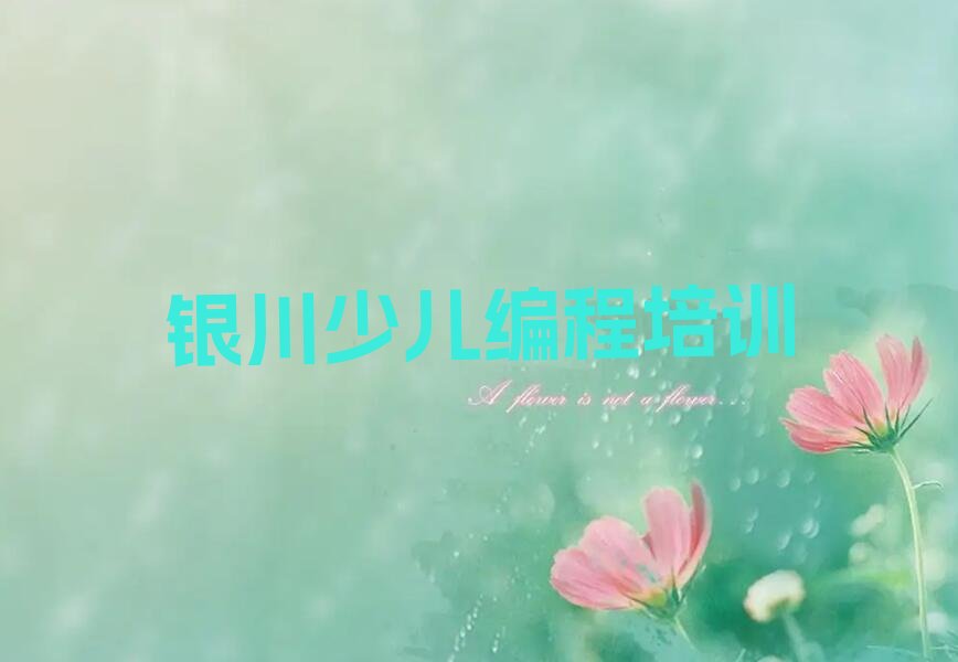 银川兴庆区少儿编程培训中心