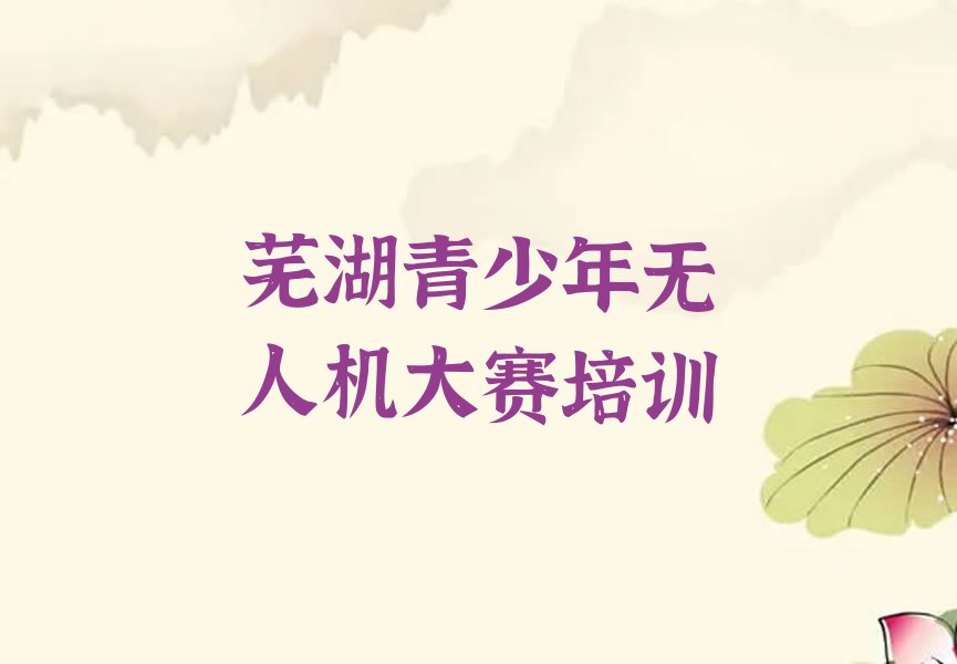 芜湖镜湖区少儿编程培训