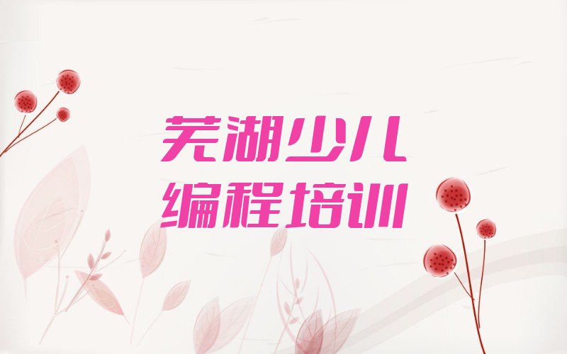 芜湖镜湖区少儿编程培训