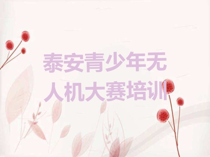 泰安少儿编程培训中心