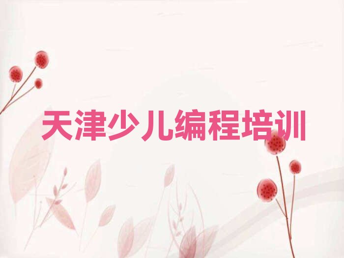 天津北辰区小孩编程培训学校
