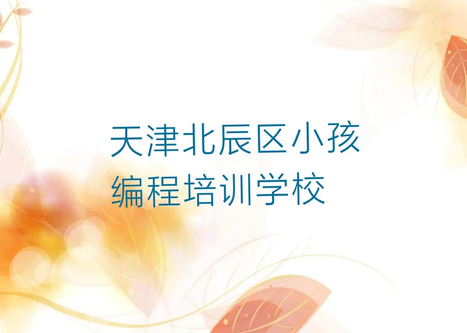 天津北辰区小孩编程培训学校