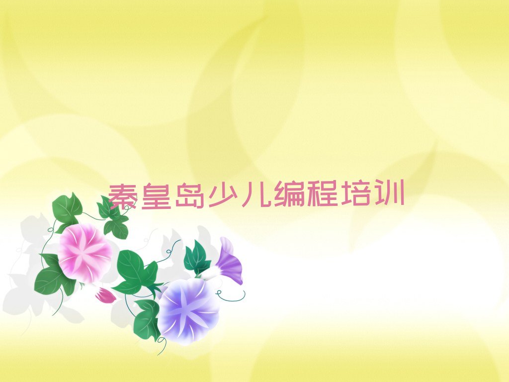 十大秦皇岛抚宁区可以学NOIP信息学奥赛的学校排行榜