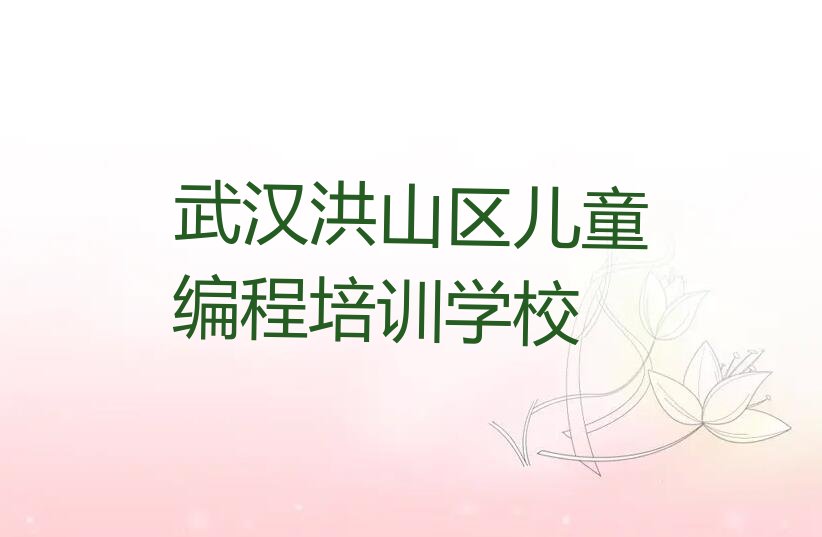 武汉洪山区儿童编程培训学校