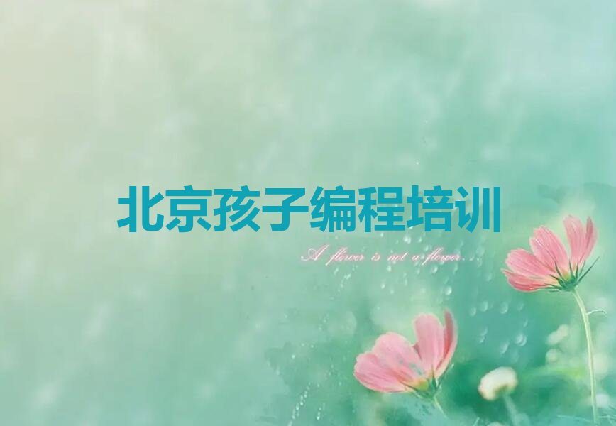 北京孩子编程培训学校