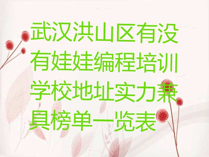 十大武汉洪山区有没有娃娃编程培训学校地址实力兼具榜单一览表排行榜