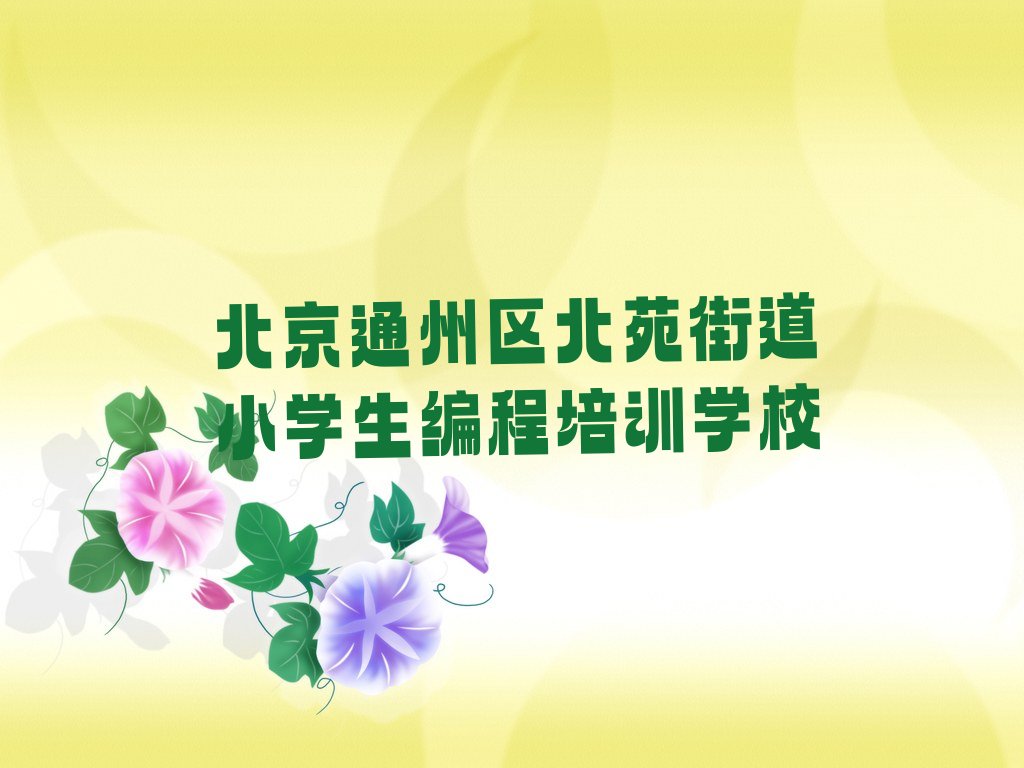 北京通州区北苑街道小学生编程培训学校