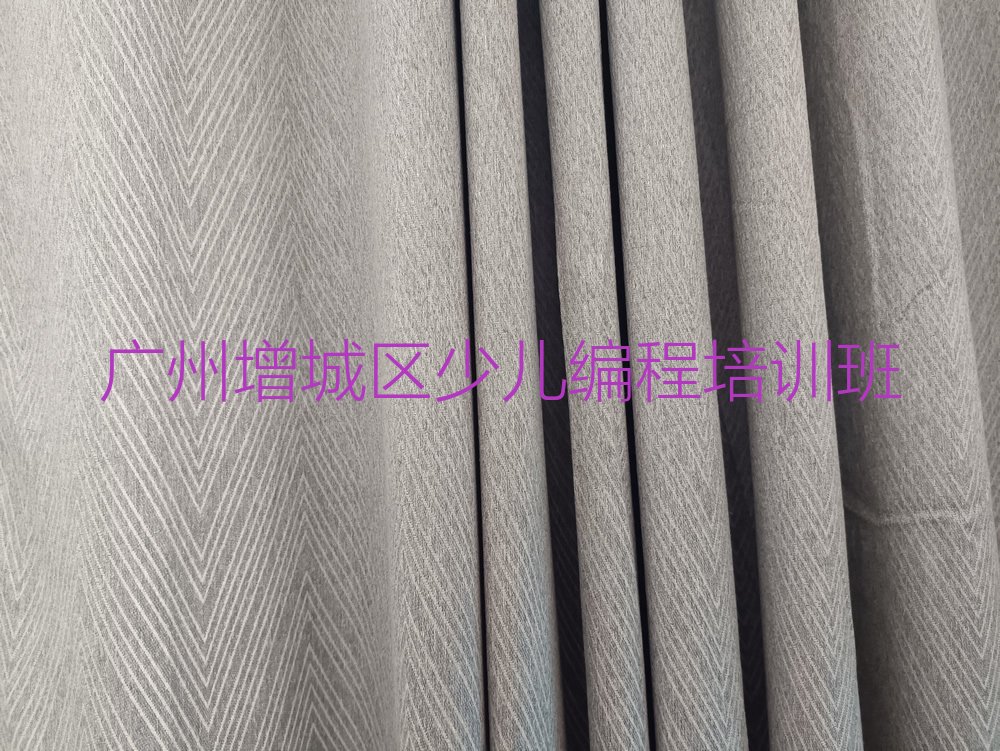 广州增城区少儿编程培训班
