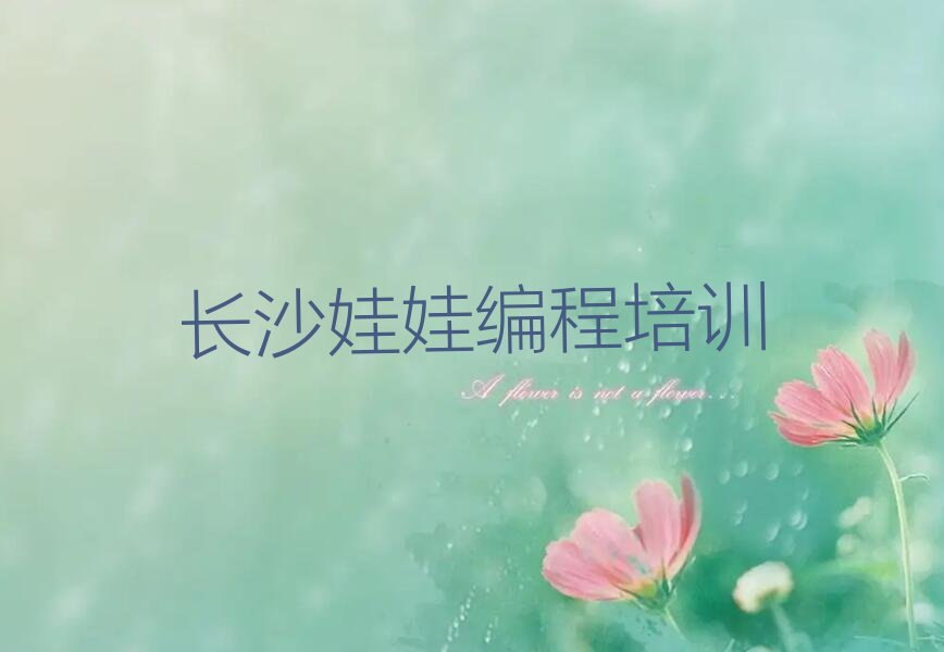长沙天心区少儿编程培训