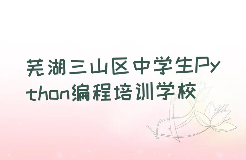 中学生Python编程