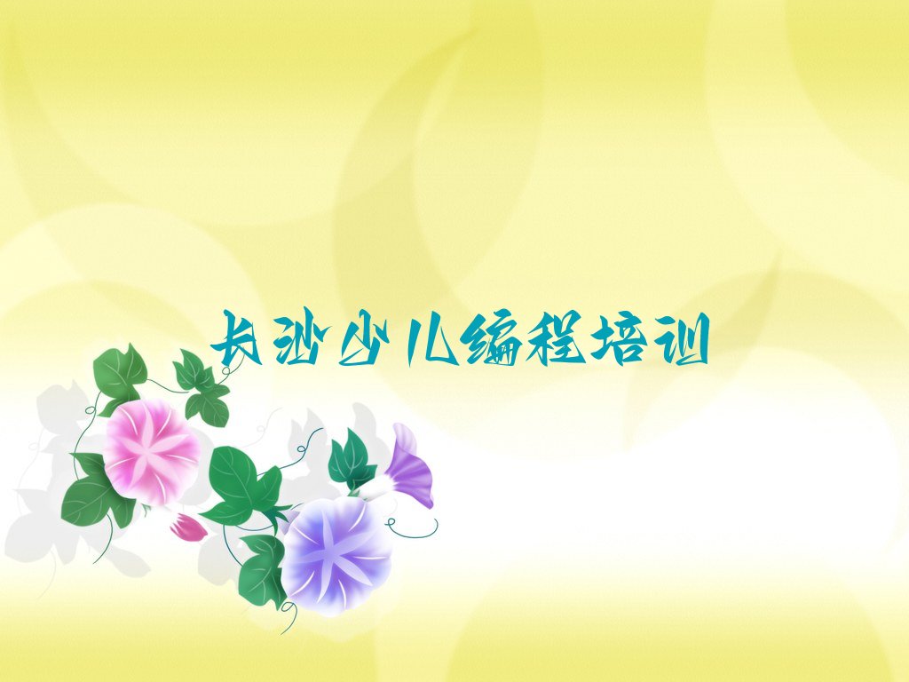 长沙少儿编程培训中心
