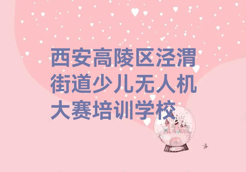 西安高陵区泾渭街道少儿无人机大赛培训学校