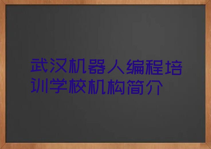 武汉东西湖区柏泉街道少儿编程培训学校