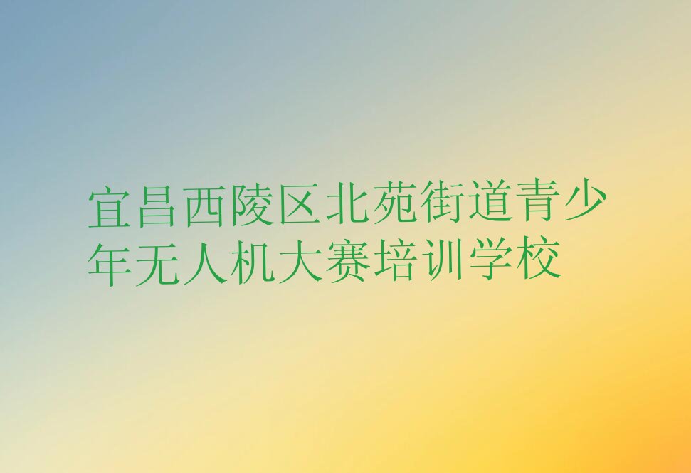 宜昌西陵区北苑街道青少年无人机大赛培训学校