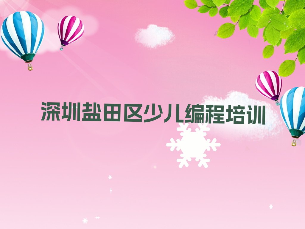 深圳盐田区少儿编程培训