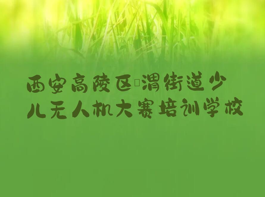 西安高陵区泾渭街道少儿无人机大赛培训学校