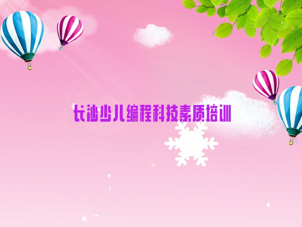 少儿编程科技素质