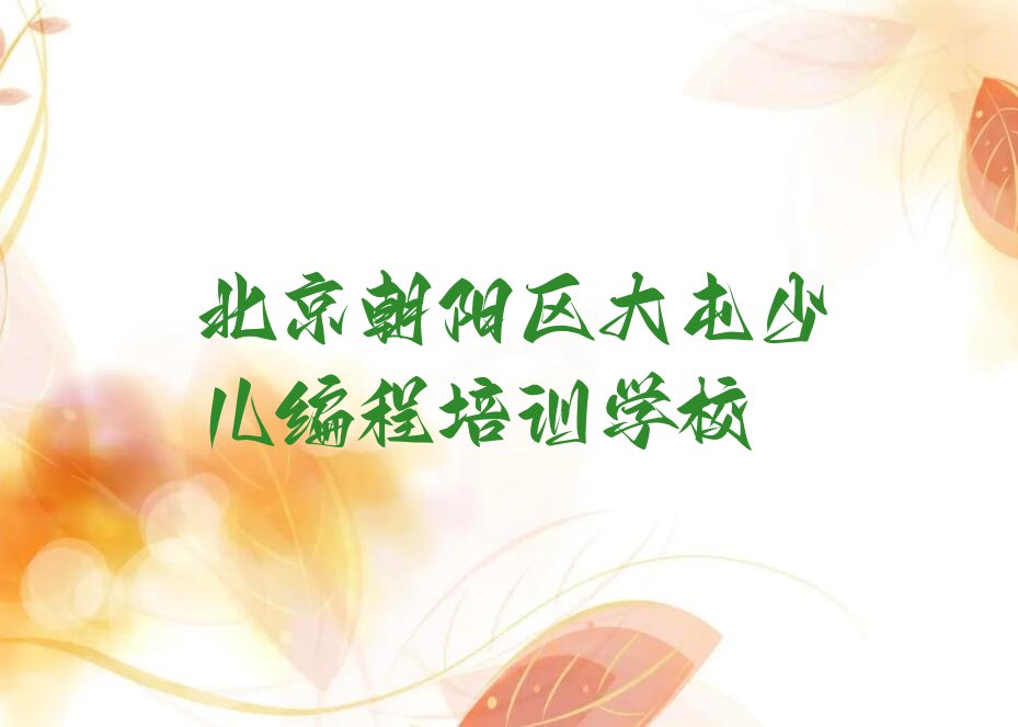 北京朝阳区大屯少儿编程培训学校