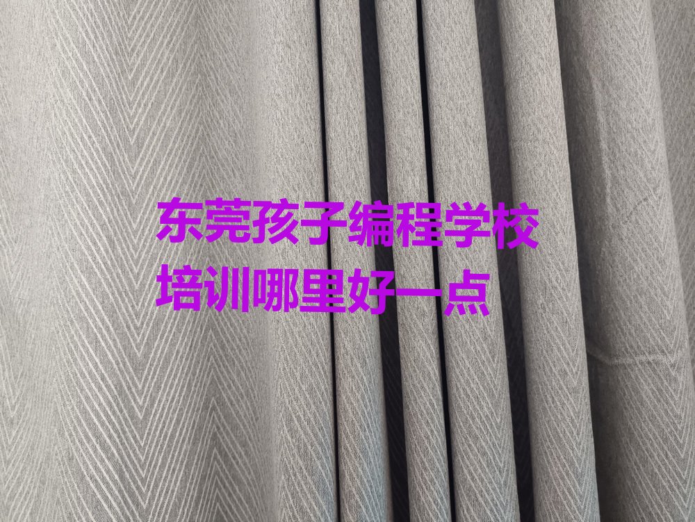 东莞少儿编程培训中心