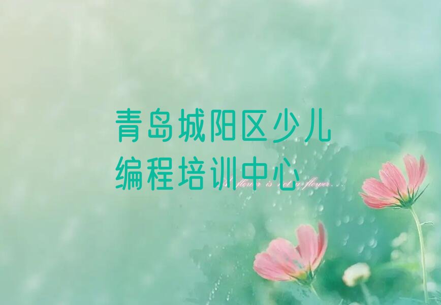 青岛城阳区少儿编程培训中心