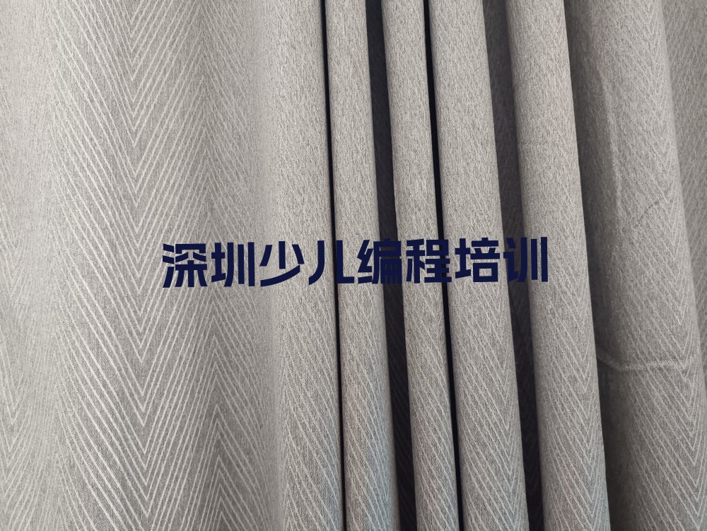 深圳光明区马田街道c语言少儿编程培训学校