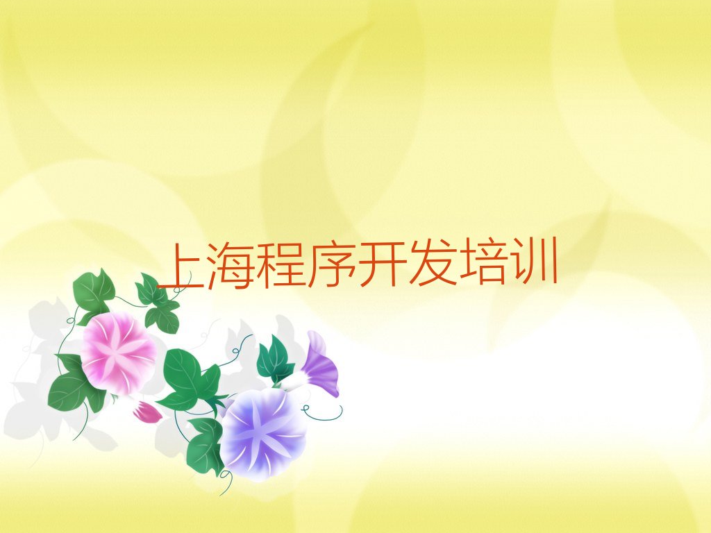 上海崇明区向化镇少儿编程培训学校
