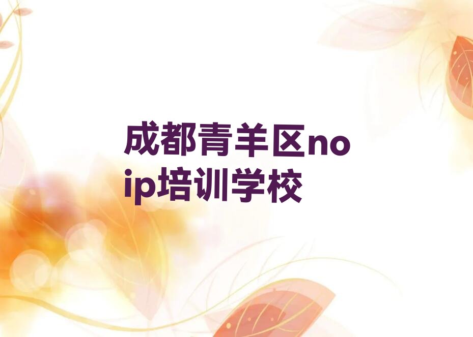 noip