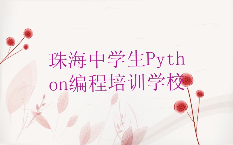 珠海中学生Python编程培训学校